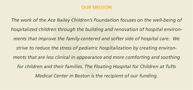 ace bailey mission
